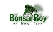 Bonsai Boy of New York